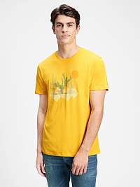 GAP žlté pánske tričko v-cactus grph