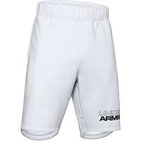 UA BASELINE FLEECE SHORT-GRY