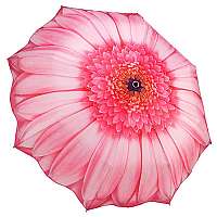 Blooming Brollies Dámsky skladací dáždnik GFFPID