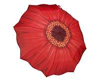 Blooming Brollies Dámsky skladací dáždnik GFFRDN