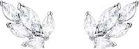 Swarovski Elegantné náušnice Louison46025