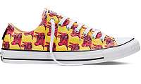 Converse Chuck Taylor All Star Andy Warhol W