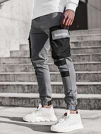 Štýlové šedé joggery G/11131