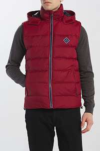 VESTA GANT D1. THE ACTIVE CLOUD VEST