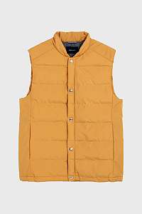 VESTA GANT D1. THE BUTTONED VEST