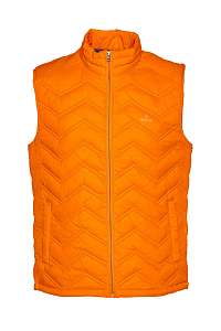 VESTA GANT D1. THE LIGHT DOWN GILET