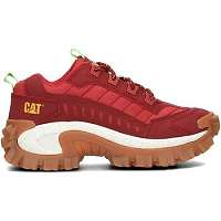 Caterpillar  Intruder  viacfarebny