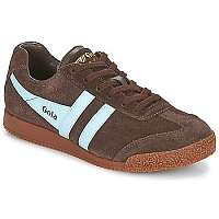 Gola  HARRIER  Hnedá
