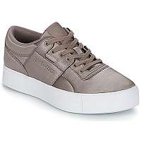Reebok Classic  WORKOUT LO FVS TXT  
