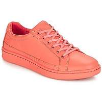 Timberland  San Francisco Flavor Oxford  Oranžová