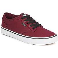 Vans  ATWOOD  Fialová