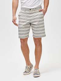 GAP farebné pánske kraťasy