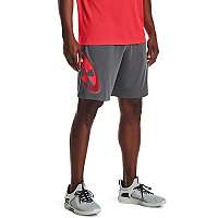 Kraťasy Under Armour UA Tech Cosmic Shorts-GRY