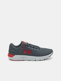 Topánky Under Armour UA Charged Rogue 2.5 Storm-GRY