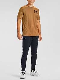Tričko Under Armour PERFORMANCE BIG LOGO SS - hnědá