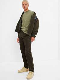 Voľnočasové nohavice pre mužov GAP - zelená