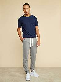 ZOOT Baseline sivé pánske tepláky Paul 2