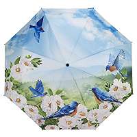 Blooming Brollies Dámsky skladací plne automatický dáždnik Blue Birds GBFBBN