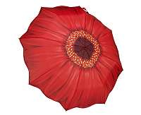 Blooming Brollies Dámsky skladací plne automatický dáždnik Galleria Red Daisy Folding GFFRDN