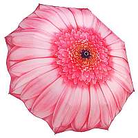 Blooming Brollies Dámsky skladací plne automatický dáždnik Pink Daisy GFFPID