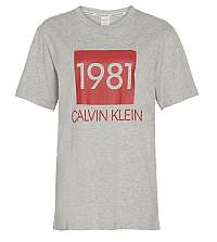 Calvin Klein Dámske tričko S / S Crew Neck QS6343E -020 L
