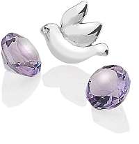 Hot Diamonds Element Holubica s ametysty Anais EX102