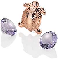 Hot Diamonds Element Želvička s ametysty Anais EX105