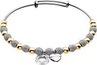 Hot Diamonds Oceľový náramok Emozioni Yellow Gold and Silver Ula DC099
