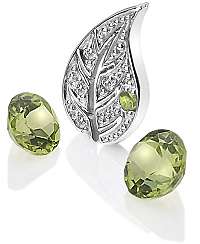 Hot Diamonds Strieborný element Krajiny s Peridot Anais AC100