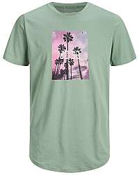 Jack&Jones Pánske tričko Jorsome Tee Ss Crew Neck Tg Green Bay L