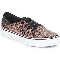 DC Shoes  Nízke tenisky TRASE SE J SHOE CHE  Béžová