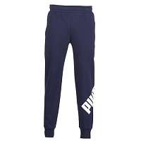 Puma  Tepláky/Vrchné oblečenie OVERSIZED LOGO PANT  Modrá